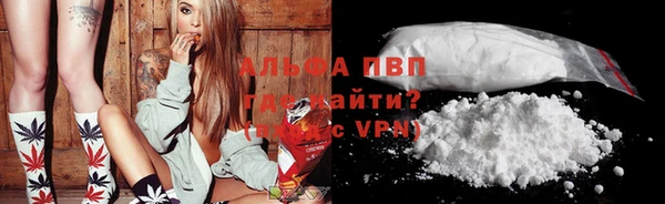 СК Медвежьегорск