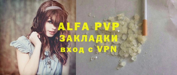 прущие грибы Мегион