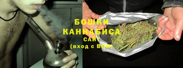 спайс Губаха