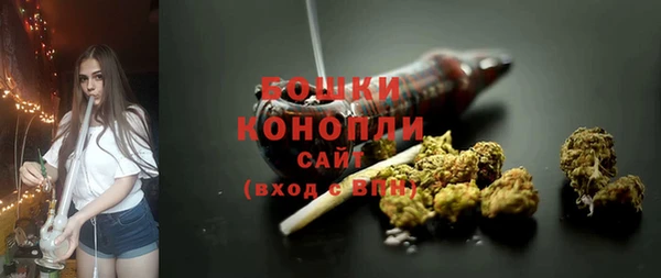 гидропоника Медногорск