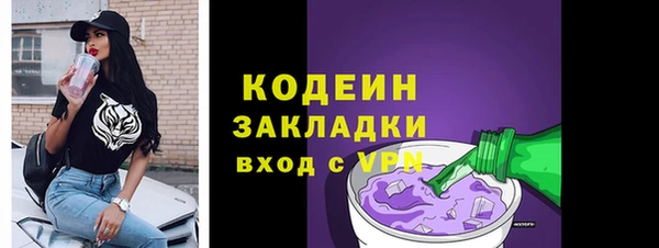 СК Медвежьегорск