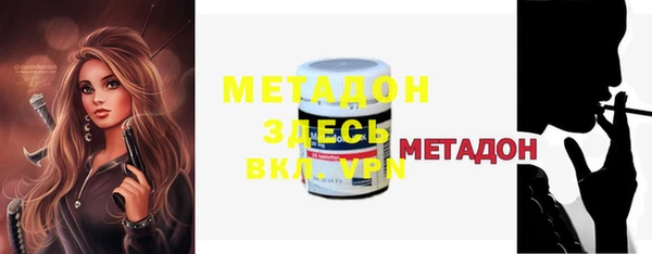 прущие грибы Мегион