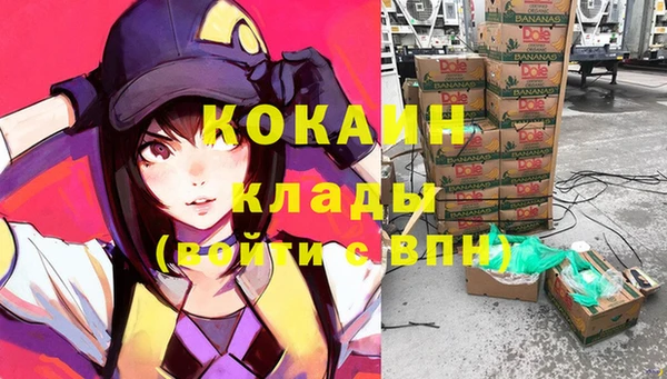 стаф Шадринск