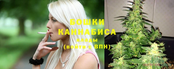 гидропоника Медногорск
