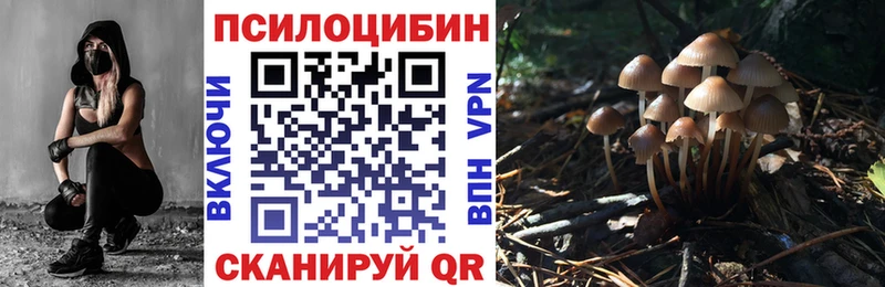 Галлюциногенные грибы Magic Shrooms  Качканар 
