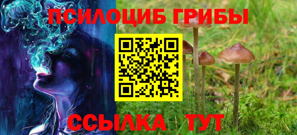 Галлюциногенные грибы прущие грибы Качканар