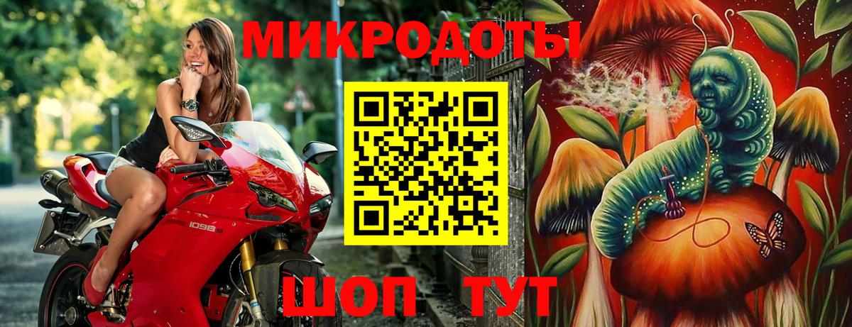 Галлюциногенные грибы ЛСД Качканар