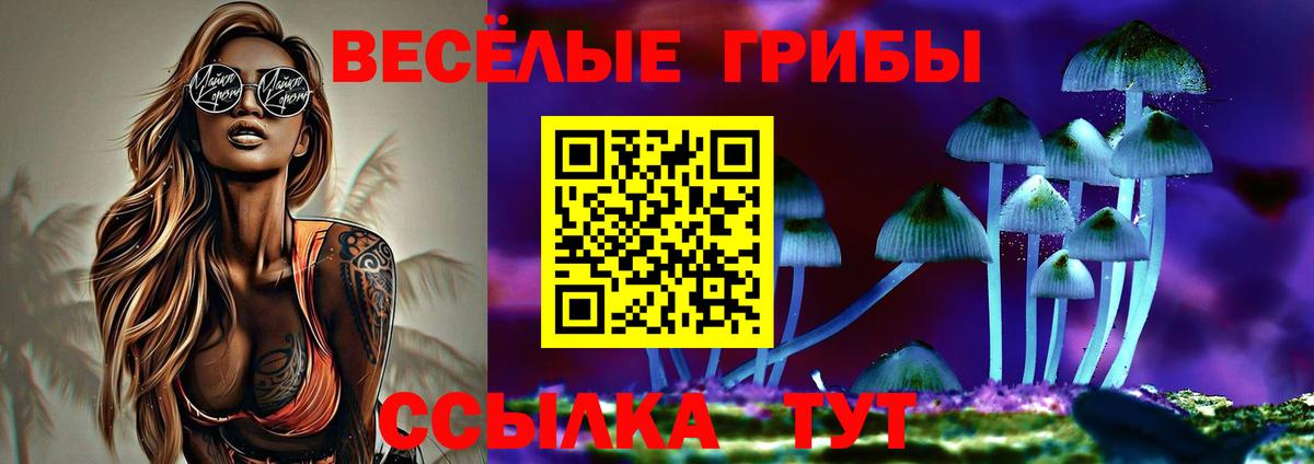 Псилоцибиновые грибы Psilocybe  Псилоцибиновые грибы мицелий  Качканар  Вход с VPN 