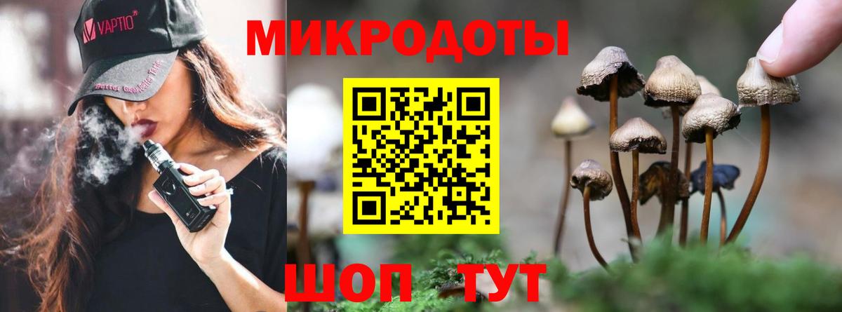 Качканар  Вход с VPN  МАРИХУАНА  Плюхи  КОКАИН  Круглые  Мефедрон  APVP  Канабис  Масло ТГК 