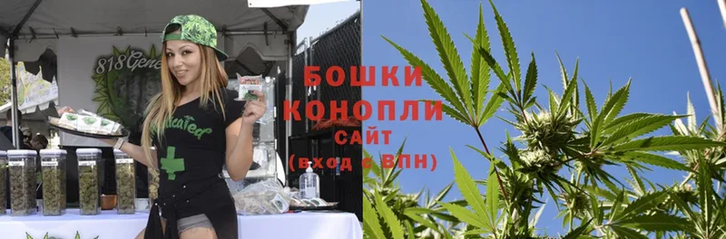 Каннабис OG Kush  нарко площадка какой сайт  Качканар 