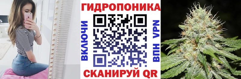 blacksprut ссылки  Качканар  Шишки марихуана план 